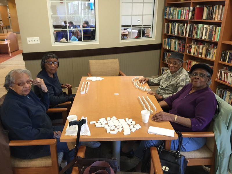 Domino Players